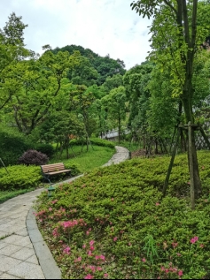 風景3.jpeg