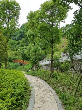 風景2.jpeg